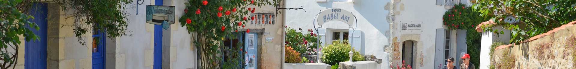 l’église de Talmont, le port de Meschers, l’estuaire de la gironde à côté du camping Fleurs des champs 