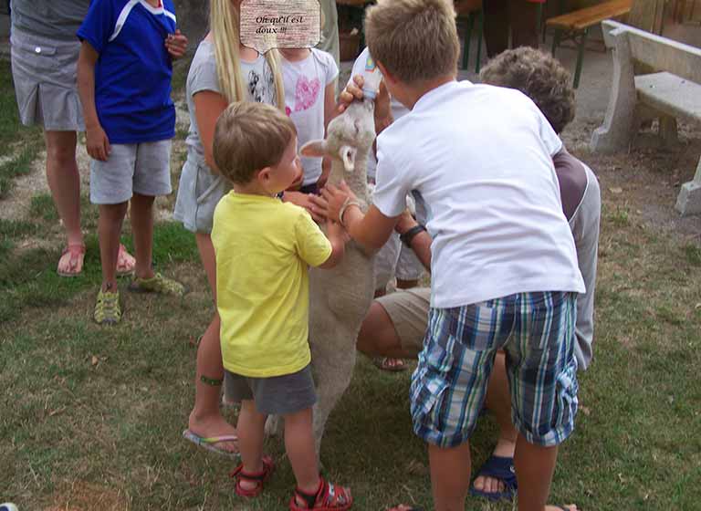 Animations gratuites enfants