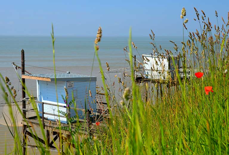 Le port de Meschers 