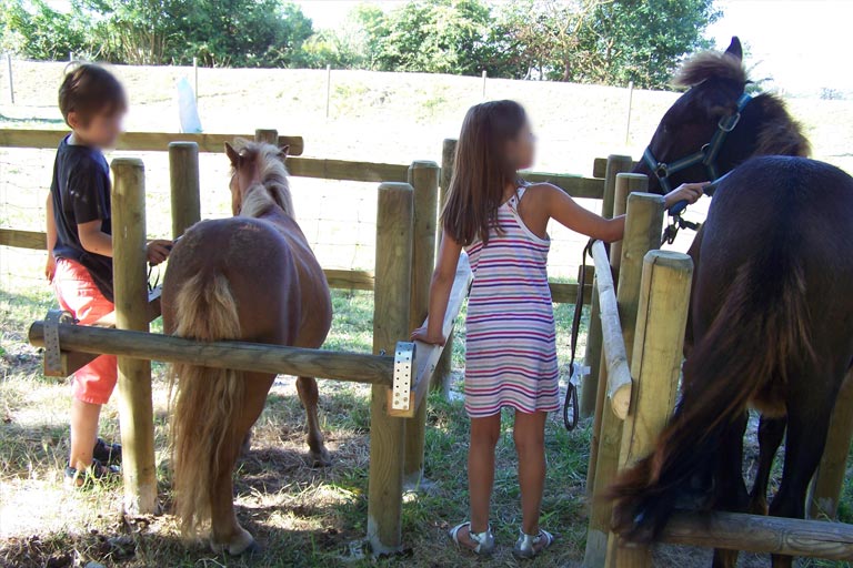 Activité gratuite de promenade à poneys pour les enfants 